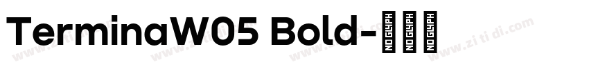 TerminaW05 Bold字体转换